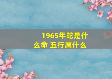 1965年蛇是什么命 五行属什么